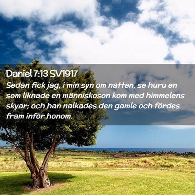 Picture 02 - Daniel 7:13 SV1917 - Sedan fick jag, i min syn om natten, se huru en - Bible Verse Picture