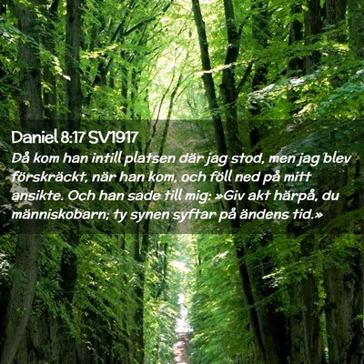 Picture 02 - Daniel 8:17 SV1917 - Då kom han intill platsen där jag stod, men jag - Bible Verse Picture
