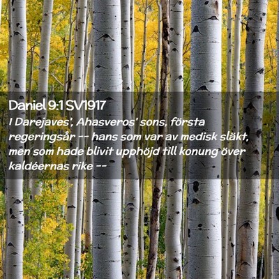 Picture 02 - Daniel 9:1 SV1917 - I Darejaves', Ahasveros' sons, första - Bible Verse Picture
