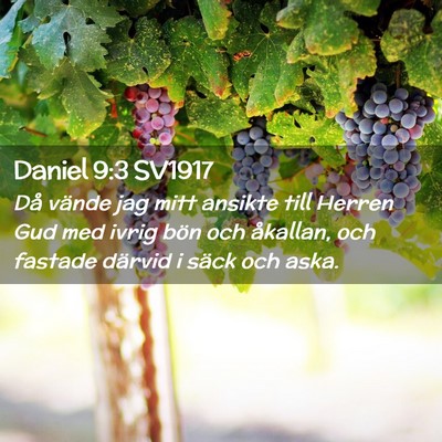 Picture 02 - Daniel 9:3 SV1917 - Då vände jag mitt ansikte till Herren Gud med - Bible Verse Picture