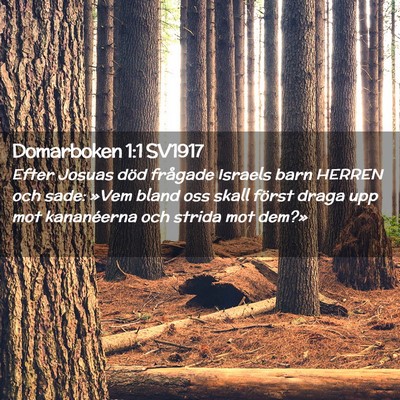 Picture 02 - Domarboken 1:1 SV1917 - Efter Josuas död frågade Israels barn HERREN - Bible Verse Picture