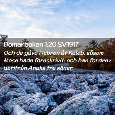 Picture 02 - Domarboken 1:20 SV1917 - Och de gåvo Hebron åt Kaleb, såsom Mose hade - Bible Verse Picture