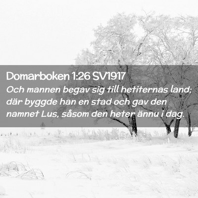 Picture 02 - Domarboken 1:26 SV1917 - Och mannen begav sig till hetiternas land; där - Bible Verse Picture