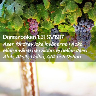 Picture 02 - Domarboken 1:31 SV1917 - Aser fördrev icke invånarna i Acko eller - Bible Verse Picture