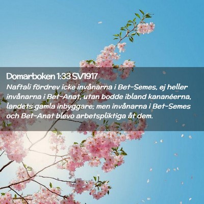 Picture 02 - Domarboken 1:33 SV1917 - Naftali fördrev icke invånarna i Bet-Semes, ej - Bible Verse Picture