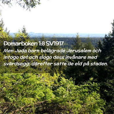 Picture 02 - Domarboken 1:8 SV1917 - Men Juda barn belägrade Jerusalem och intogo det - Bible Verse Picture