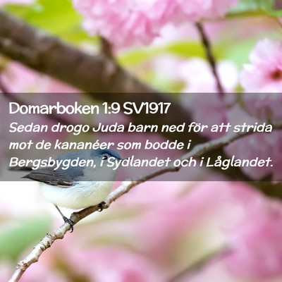 Picture 02 - Domarboken 1:9 SV1917 - Sedan drogo Juda barn ned för att strida mot de - Bible Verse Picture