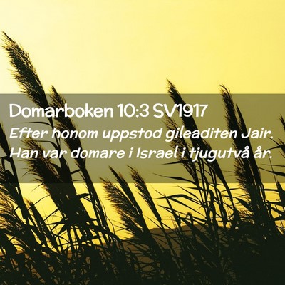 Picture 02 - Domarboken 10:3 SV1917 - Efter honom uppstod gileaditen Jair. Han var - Bible Verse Picture