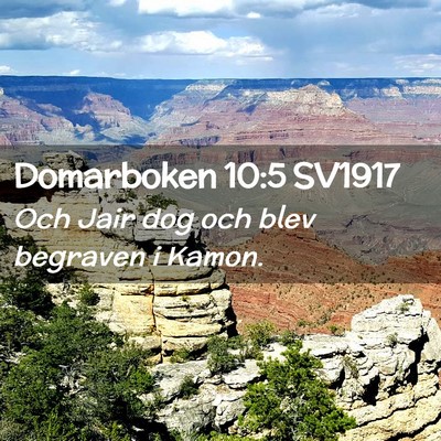Picture 02 - Domarboken 10:5 SV1917 - Och Jair dog och blev begraven i - Bible Verse Picture
