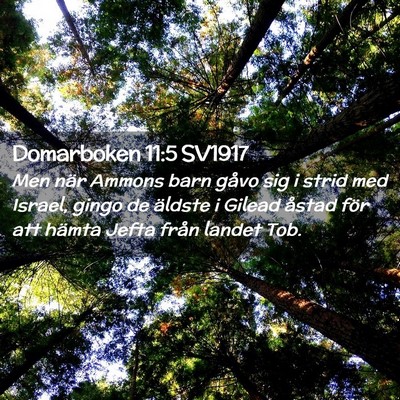 Picture 02 - Domarboken 11:5 SV1917 - Men när Ammons barn gåvo sig i strid med - Bible Verse Picture
