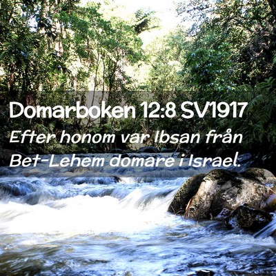 Picture 02 - Domarboken 12:8 SV1917 - Efter honom var Ibsan från Bet-Lehem domare i - Bible Verse Picture