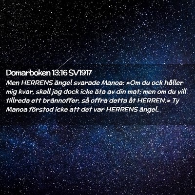 Picture 02 - Domarboken 13:16 SV1917 - Men HERRENS ängel svarade Manoa: »Om du ock - Bible Verse Picture