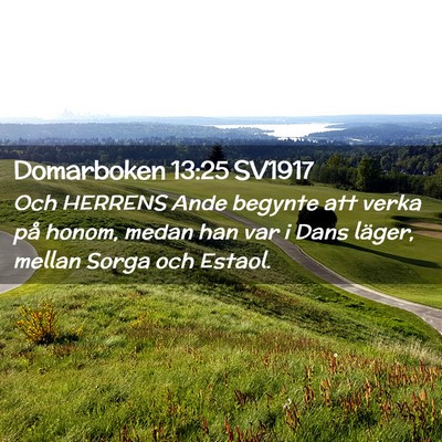 Picture 02 - Domarboken 13:25 SV1917 - Och HERRENS Ande begynte att verka på honom, - Bible Verse Picture