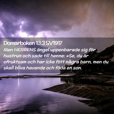 Picture 02 - Domarboken 13:3 SV1917 - Men HERRENS ängel uppenbarade sig för hustrun - Bible Verse Picture