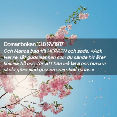 Picture 02 - Domarboken 13:8 SV1917 - Och Manoa bad till HERREN och sade: »Ack Herre, - Bible Verse Picture