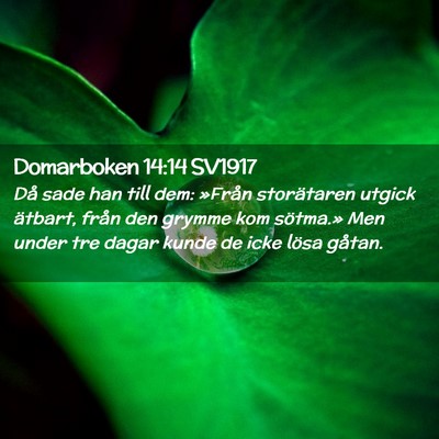 Picture 02 - Domarboken 14:14 SV1917 - Då sade han till dem: »Från storätaren utgick - Bible Verse Picture