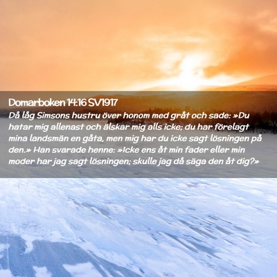 Picture 02 - Domarboken 14:16 SV1917 - Då låg Simsons hustru över honom med gråt och - Bible Verse Picture