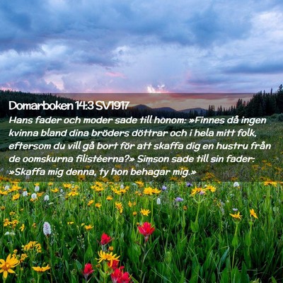 Picture 02 - Domarboken 14:3 SV1917 - Hans fader och moder sade till honom: »Finnes - Bible Verse Picture