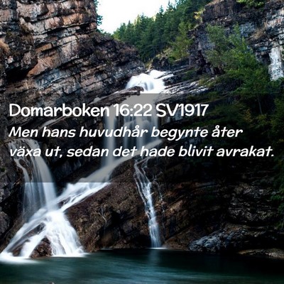 Picture 02 - Domarboken 16:22 SV1917 - Men hans huvudhår begynte åter växa ut, sedan - Bible Verse Picture