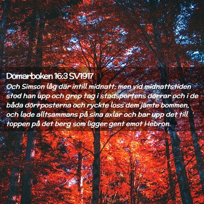 Picture 02 - Domarboken 16:3 SV1917 - Och Simson låg där intill midnatt; men vid - Bible Verse Picture