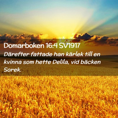 Picture 02 - Domarboken 16:4 SV1917 - Därefter fattade han kärlek till en kvinna som - Bible Verse Picture