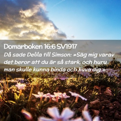 Picture 02 - Domarboken 16:6 SV1917 - Då sade Delila till Simson: »Säg mig varav det - Bible Verse Picture
