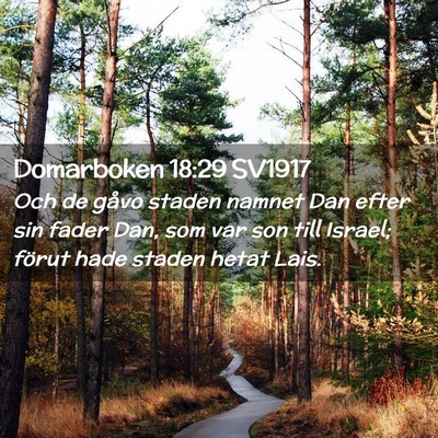 Picture 02 - Domarboken 18:29 SV1917 - Och de gåvo staden namnet Dan efter sin fader - Bible Verse Picture