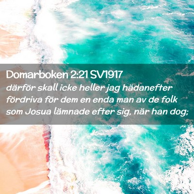 Picture 02 - Domarboken 2:21 SV1917 - därför skall icke heller jag hädanefter - Bible Verse Picture