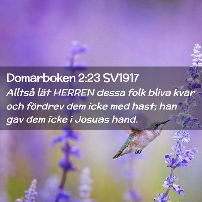Picture 02 - Domarboken 2:23 SV1917 - Alltså lät HERREN dessa folk bliva kvar och - Bible Verse Picture