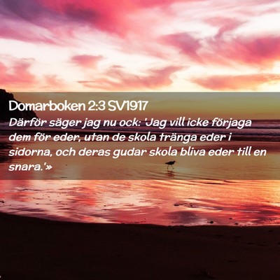 Picture 02 - Domarboken 2:3 SV1917 - Därför säger jag nu ock: 'Jag vill icke - Bible Verse Picture