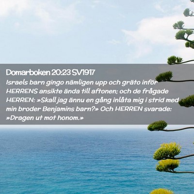 Picture 02 - Domarboken 20:23 SV1917 - Israels barn gingo nämligen upp och gräto - Bible Verse Picture