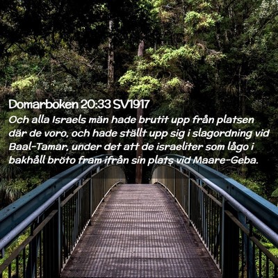 Picture 02 - Domarboken 20:33 SV1917 - Och alla Israels män hade brutit upp från - Bible Verse Picture