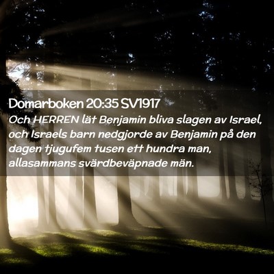 Picture 02 - Domarboken 20:35 SV1917 - Och HERREN lät Benjamin bliva slagen av Israel, - Bible Verse Picture