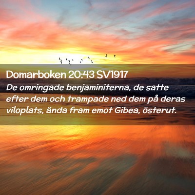 Picture 02 - Domarboken 20:43 SV1917 - De omringade benjaminiterna, de satte efter dem - Bible Verse Picture