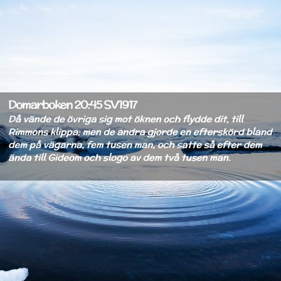 Picture 02 - Domarboken 20:45 SV1917 - Då vände de övriga sig mot öknen och flydde - Bible Verse Picture