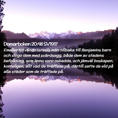 Picture 02 - Domarboken 20:48 SV1917 - Emellertid vände Israels män tillbaka till - Bible Verse Picture