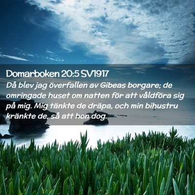 Picture 02 - Domarboken 20:5 SV1917 - Då blev jag överfallen av Gibeas borgare; de - Bible Verse Picture
