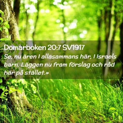 Picture 02 - Domarboken 20:7 SV1917 - Se, nu ären I allasammans här, I Israels barn. - Bible Verse Picture