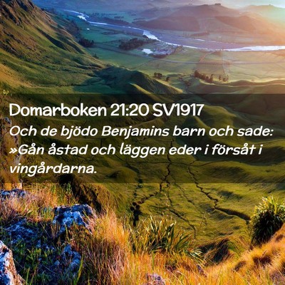 Picture 02 - Domarboken 21:20 SV1917 - Och de bjödo Benjamins barn och sade: »Gån - Bible Verse Picture
