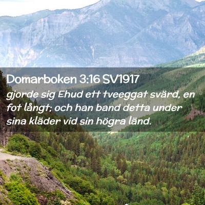 Picture 02 - Domarboken 3:16 SV1917 - gjorde sig Ehud ett tveeggat svärd, en fot - Bible Verse Picture