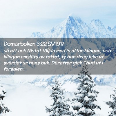 Picture 02 - Domarboken 3:22 SV1917 - så att ock fästet följde med in efter klingan, - Bible Verse Picture