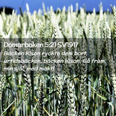 Picture 02 - Domarboken 5:21 SV1917 - Bäcken Kison ryckte dem bort, urtidsbäcken, - Bible Verse Picture