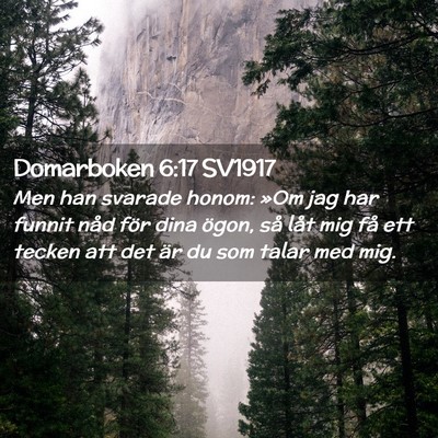 Picture 02 - Domarboken 6:17 SV1917 - Men han svarade honom: »Om jag har funnit nåd - Bible Verse Picture