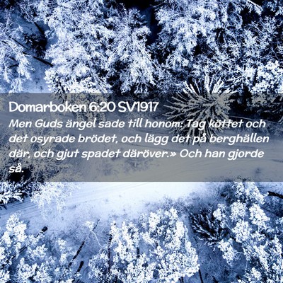 Picture 02 - Domarboken 6:20 SV1917 - Men Guds ängel sade till honom: Tag köttet och - Bible Verse Picture