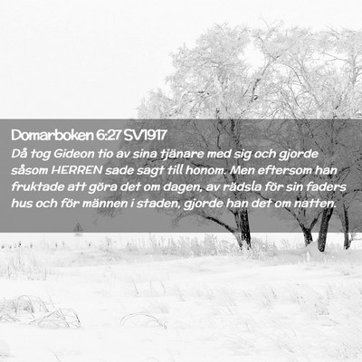 Picture 02 - Domarboken 6:27 SV1917 - Då tog Gideon tio av sina tjänare med sig och - Bible Verse Picture