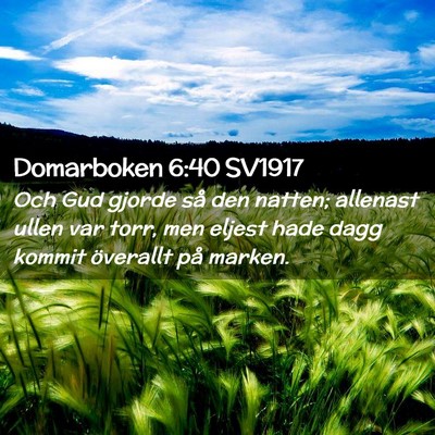 Picture 02 - Domarboken 6:40 SV1917 - Och Gud gjorde så den natten; allenast ullen var - Bible Verse Picture
