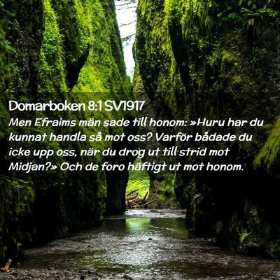 Picture 02 - Domarboken 8:1 SV1917 - Men Efraims män sade till honom: »Huru har du - Bible Verse Picture
