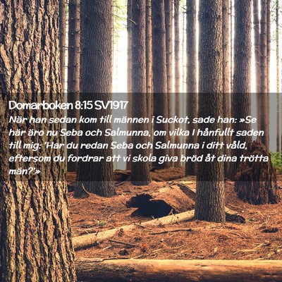 Picture 02 - Domarboken 8:15 SV1917 - När han sedan kom till männen i Suckot, sade - Bible Verse Picture