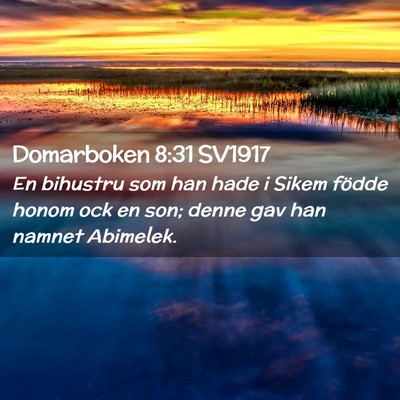 Picture 02 - Domarboken 8:31 SV1917 - En bihustru som han hade i Sikem födde honom ock - Bible Verse Picture