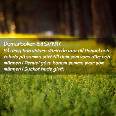 Picture 02 - Domarboken 8:8 SV1917 - Så drog han vidare därifrån upp till Penuel - Bible Verse Picture